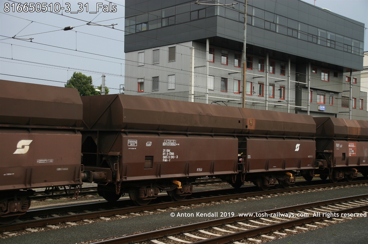 816650510-3_31_Fals.jpg